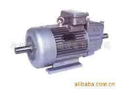 沧州泰瑞达机电设备 特殊电机产品列表