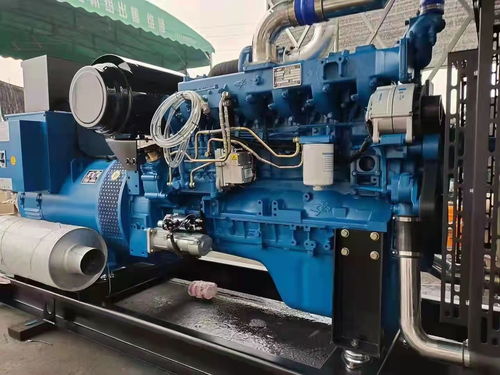 衡水长期提供本地发电机出租 租赁选康成机电设备